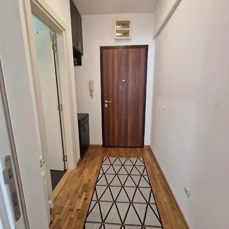 Emily Lux Belgrade, Center Belgrade